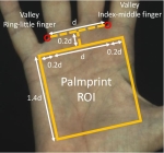 Deep Learning for touchless palmprint recognition Logo