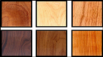 Wood classification Logo
